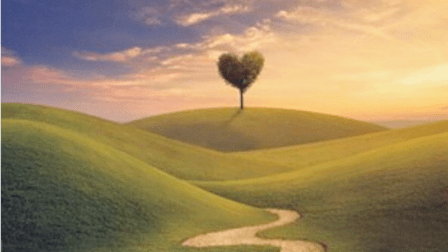 Leah R. Lubin, DOM, L.Ac., AP Acupuncture & Holistic Healing