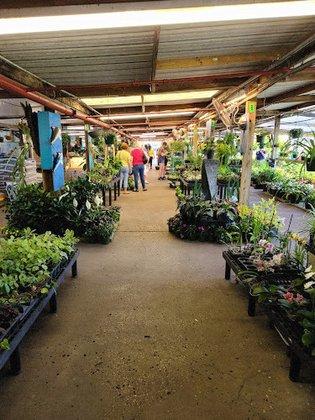 Christine's Tropical & Exotic Plants Inc.