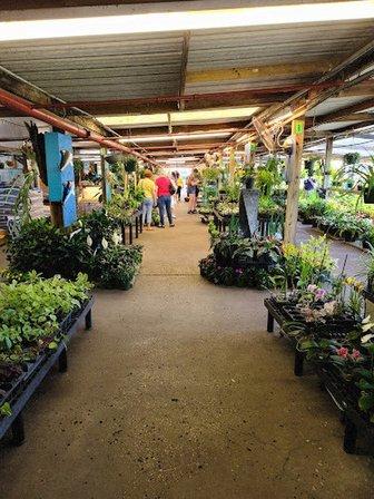 Christine's Tropical & Exotic Plants Inc.