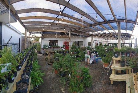 Little Red Wagon Native Nursery