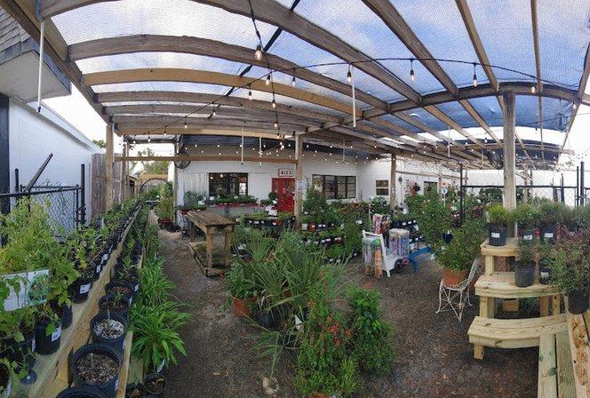 Little Red Wagon Native Nursery