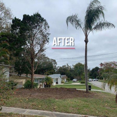 THE TREE BARBER INC