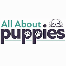All About Puppies