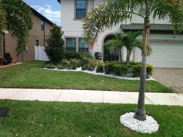Top Lawn Pros