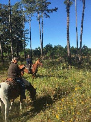 Just Horse'n Around Inc