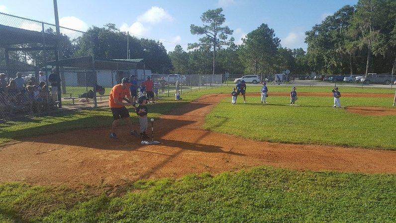 Lutz Baseball