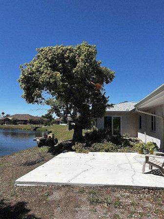 Hi-Point Tree Service