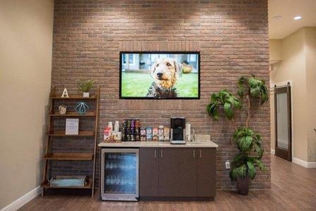 Abdoney Orthodontics - Riverview