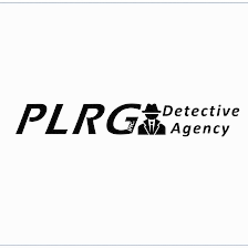 Professional Legal Resource Group Inc