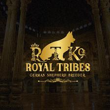 Royal Tribes K9 | German Shepherd Breeder | Tampa Florida