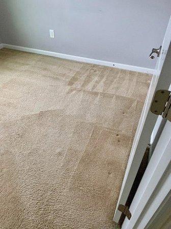 Bruno's Carpet Cleaning Professionals