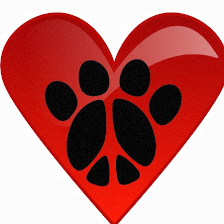 Plantation Animal Hospital of Tampa