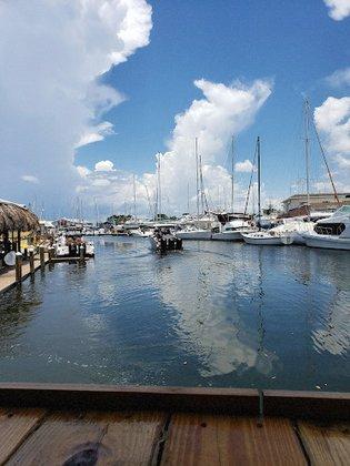 The Harborage Marina - High & Dry