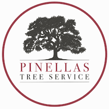 Pinellas Tree Service