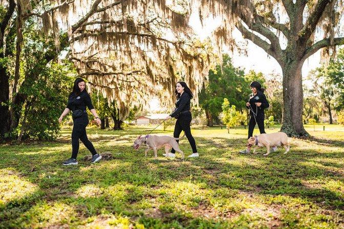 Professional Pets Florida LLC