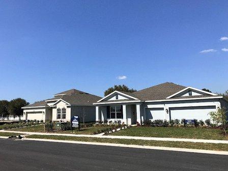 Jeff Miller, Wesley Chapel REALTOR Wesley Chapel Homes for Sale