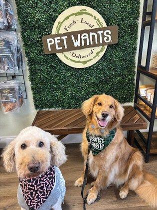 Pet Wants South Tampa