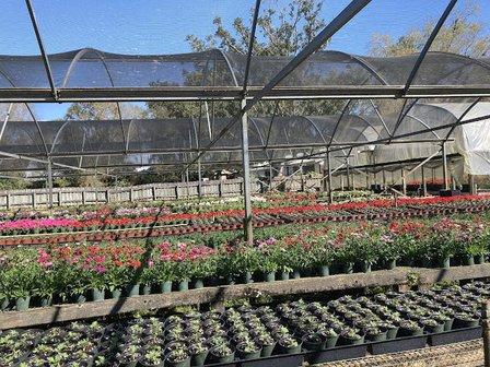 Greenhouse Ventures