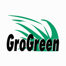 Home Pest Control Tampa Your Green Team