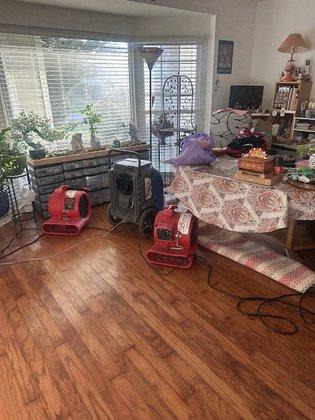 Bowden's Carpet Cleaning