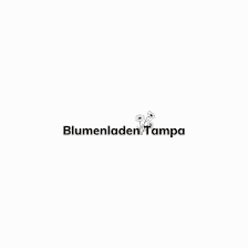 Blumenladen Tampa Flower Shop