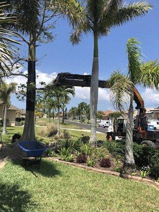 Sunscape Landscape Nursery, Inc.