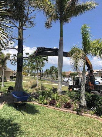 Sunscape Landscape Nursery, Inc.