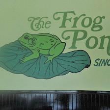 The Frog Pond Downtown St. Petersburg