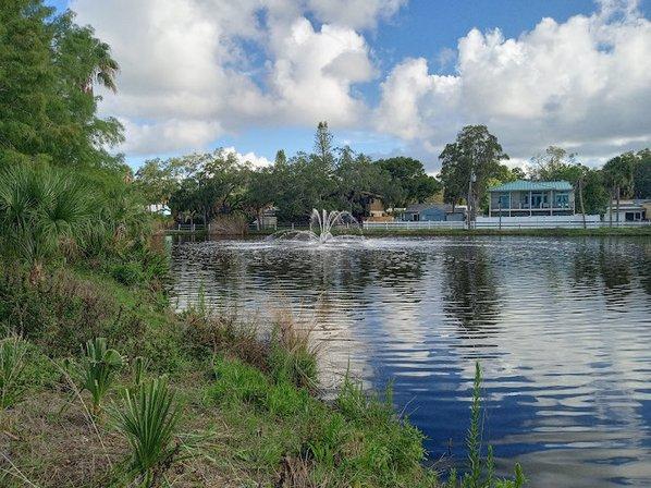 Wood Ibis Park