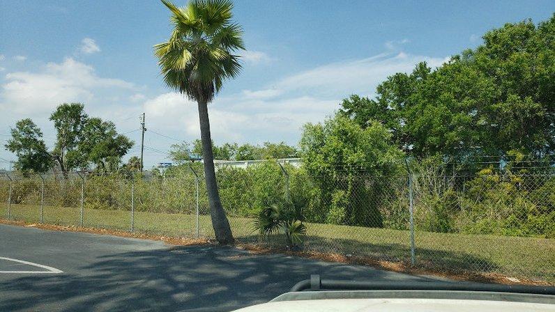 Pinellas Tree Service