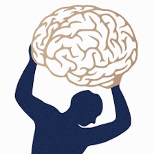 Tampa Bay Functional Neurology
