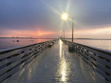 Bayshore Blvd. Reef Ball Project