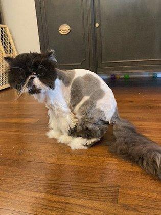 Ruff2Ritz Grooming LLC