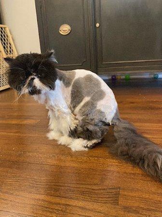 Ruff2Ritz Grooming LLC