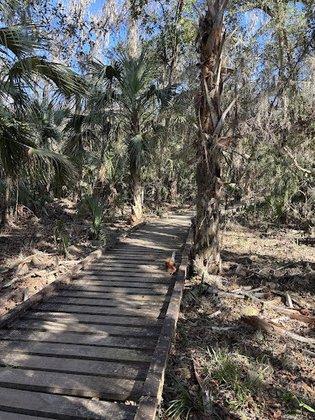 Alafia River State Park - Parking Lot