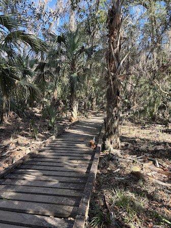 Alafia River State Park - Parking Lot