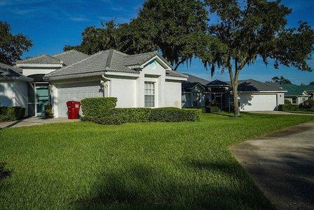 Home Pest Control Tampa Your Green Team
