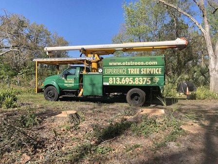 Experience Tree Service