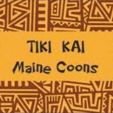 Tiki Kai Maine Coon Cattery