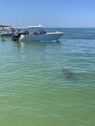 TampaBayEcoCharters