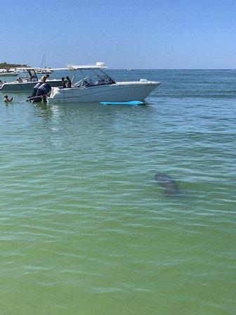 TampaBayEcoCharters