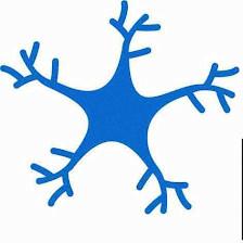 Neurocare Pro