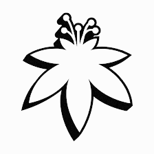 The Flowery Dispensary Clearwater