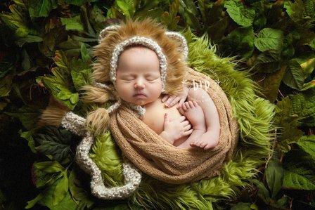 Baby Rock Photography