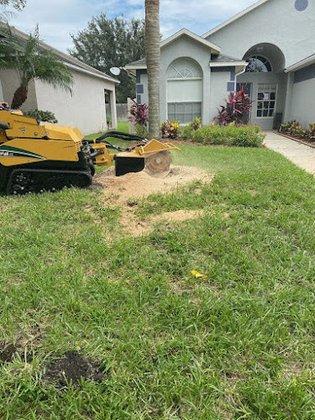 Central Florida Tree & Debris