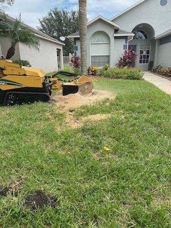 Central Florida Tree & Debris