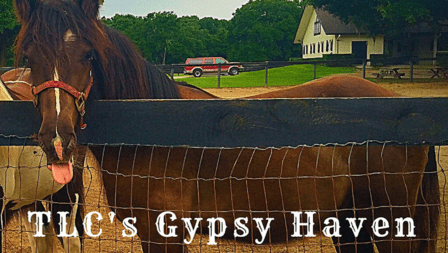 TLC's Gypsy Haven
