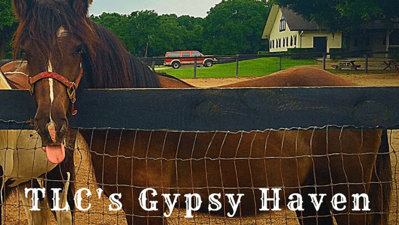 TLC's Gypsy Haven