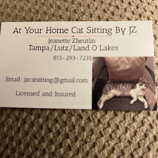 At Your Home Cat Sitting By JZ