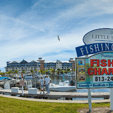 Tampa Fishing Charters, Inc.